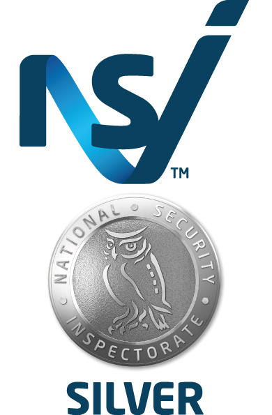 Logo - Print - NSI Silver - Colour