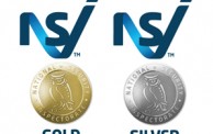 New to NSI: Applications Workshop