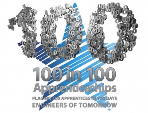 NSI calls for support for 2013’s 100 in 100 Campaign
